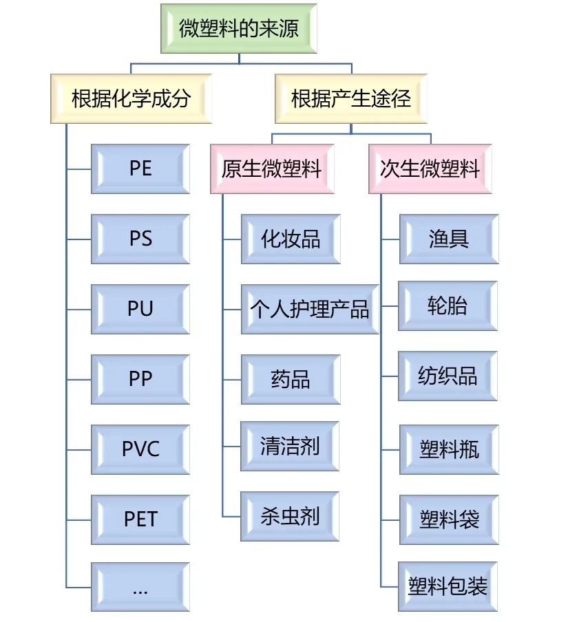 蒋南青院长经观发文谈微塑料风险